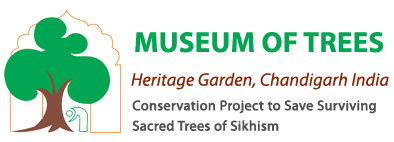 MUSEUM OF TREES – Heritage Garden, Chandigarh Logo