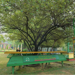 dukh-bhanjani-living-heritage