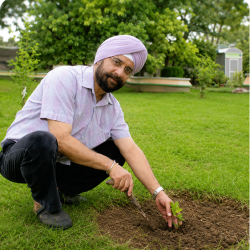 jaspal planting plant