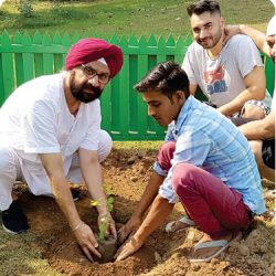 planting
