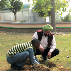 plantsultanpur (1)