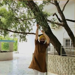 tahli-tree-original-tree-conservation